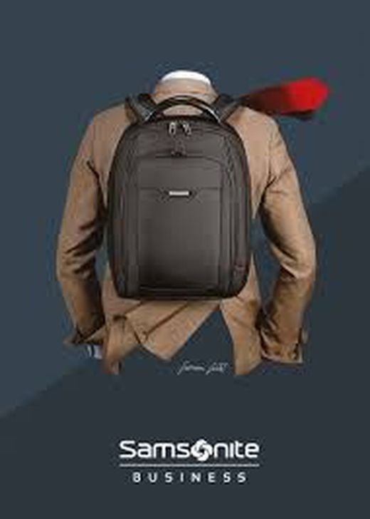 Samsonite Business